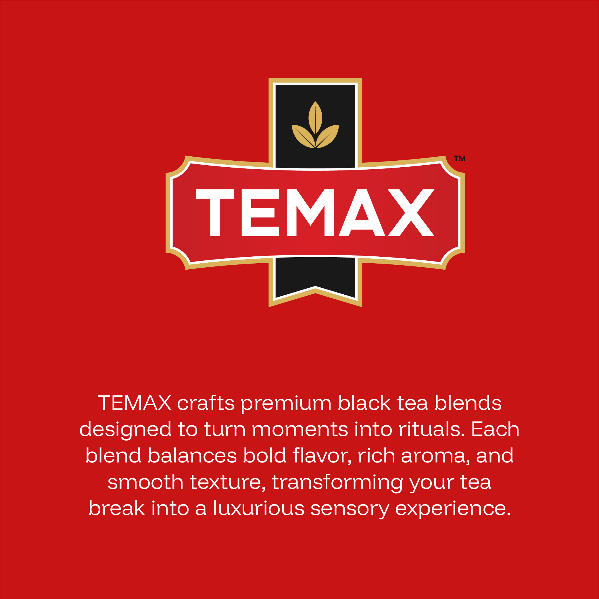 Temax Branding-02